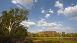 Kakadu Tour at Nourlangie Rock
