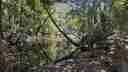 Secluded and private Moline Rockhole