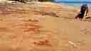Beach fun