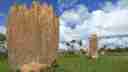 Magnetic Termite Mound