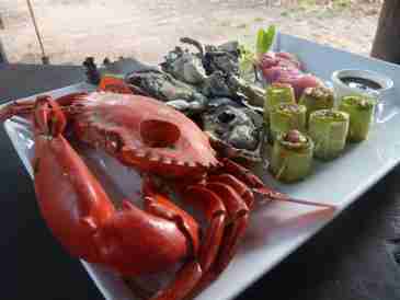 Collecting your own seafood buffet at Cobourg Coastal Camp!