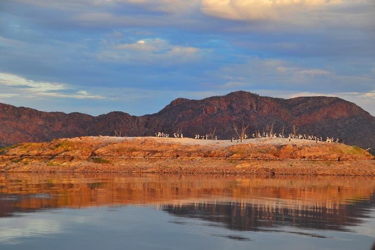 ​Seven things to do on your Lake Argyle tour