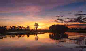 Yellow Water Billabong Kakadu National Park