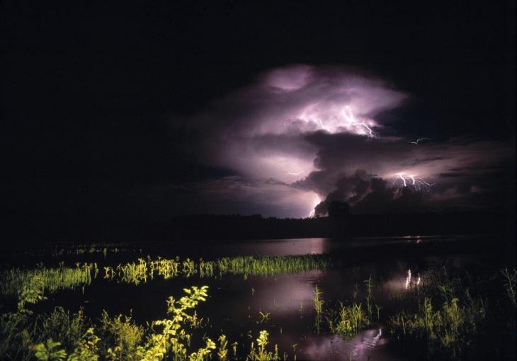 Wonders of the wet-season - Amazing Kakadu tours and more!