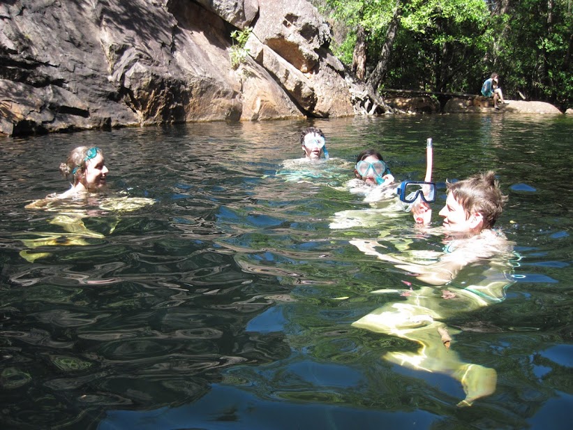 swimming-in-litchfiled-national-park