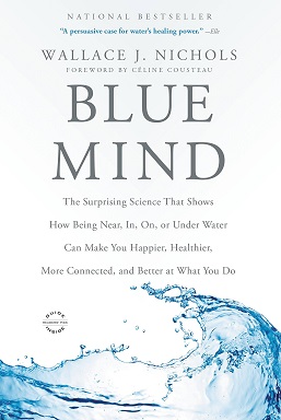 blue-mind-the-surprising-science 