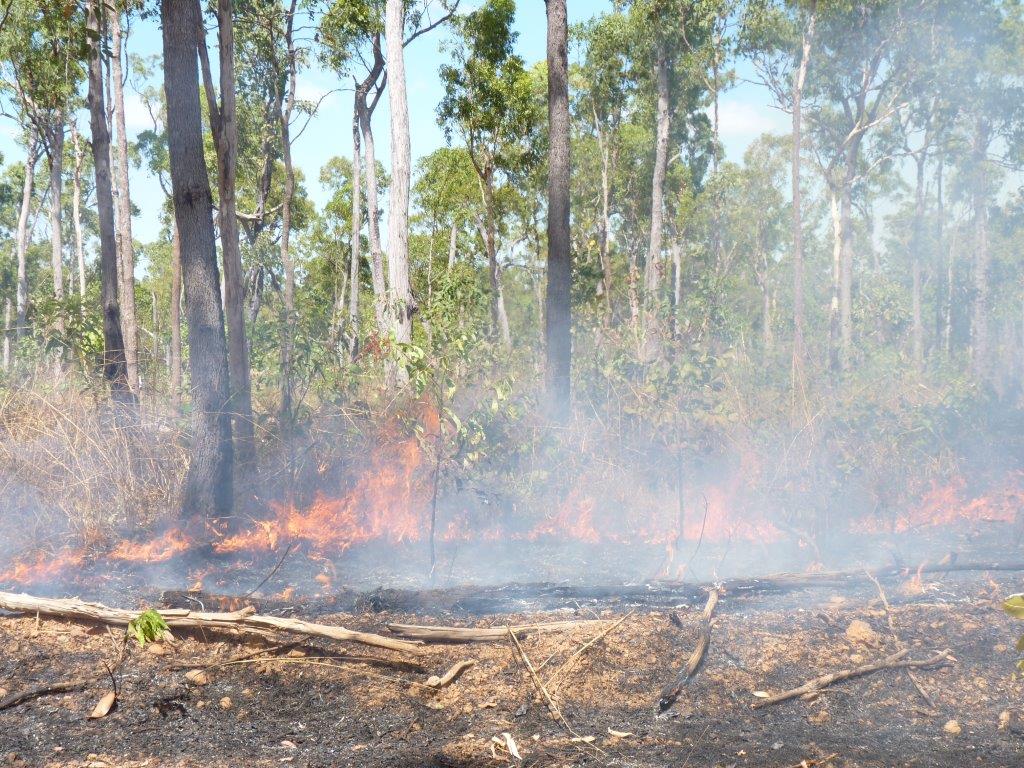 firebreak-cobourg-arnhem-land