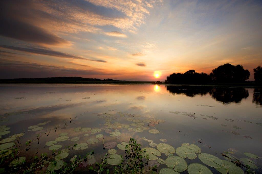 yellow-water-billabong-sunset-kakadu