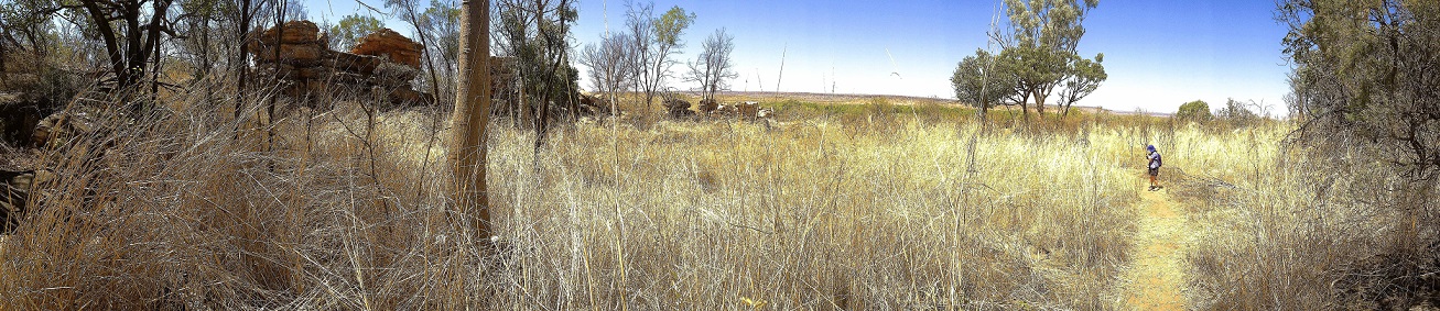 kimberley-tours-and-outback-station-stays