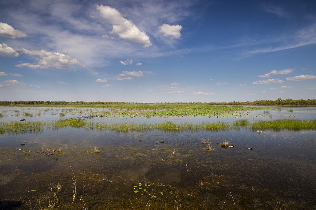 mamukala-wetlands 