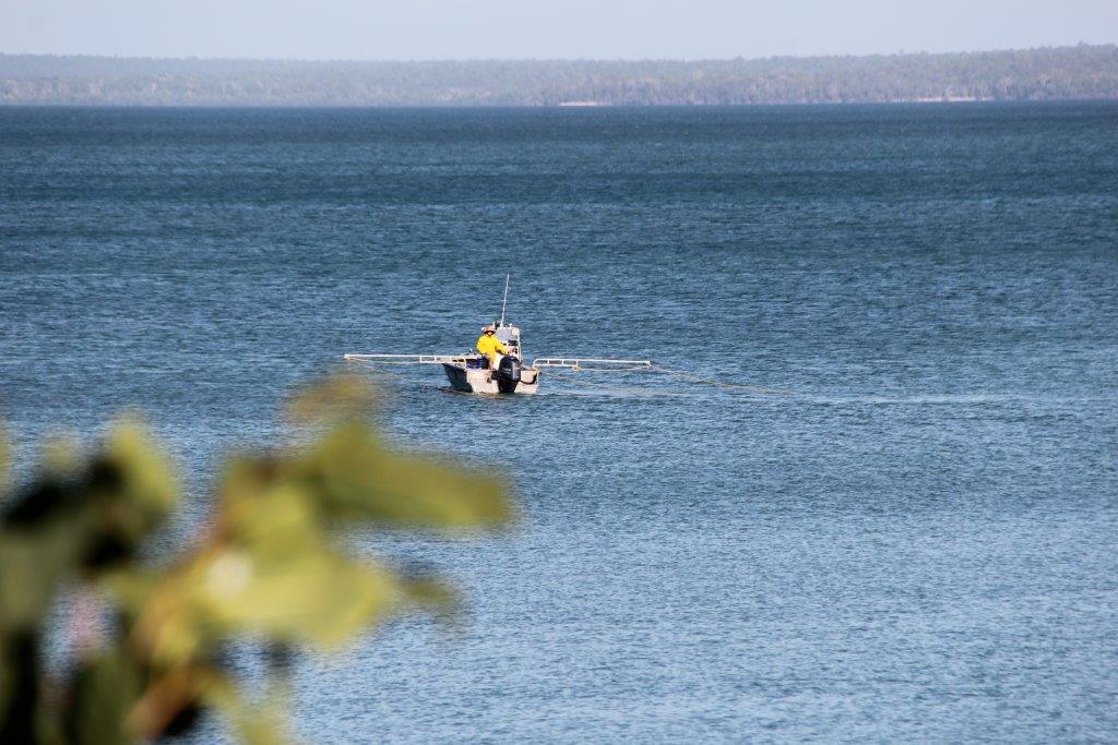 trepang-collection-cobourg-peninsula