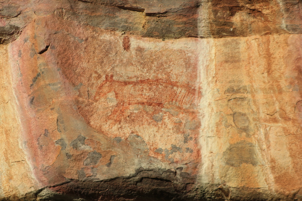 northern-territory-cultural-tours-rock-art